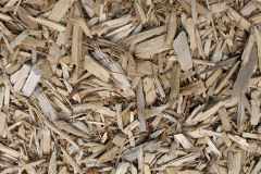 biomass boilers Heronsgate
